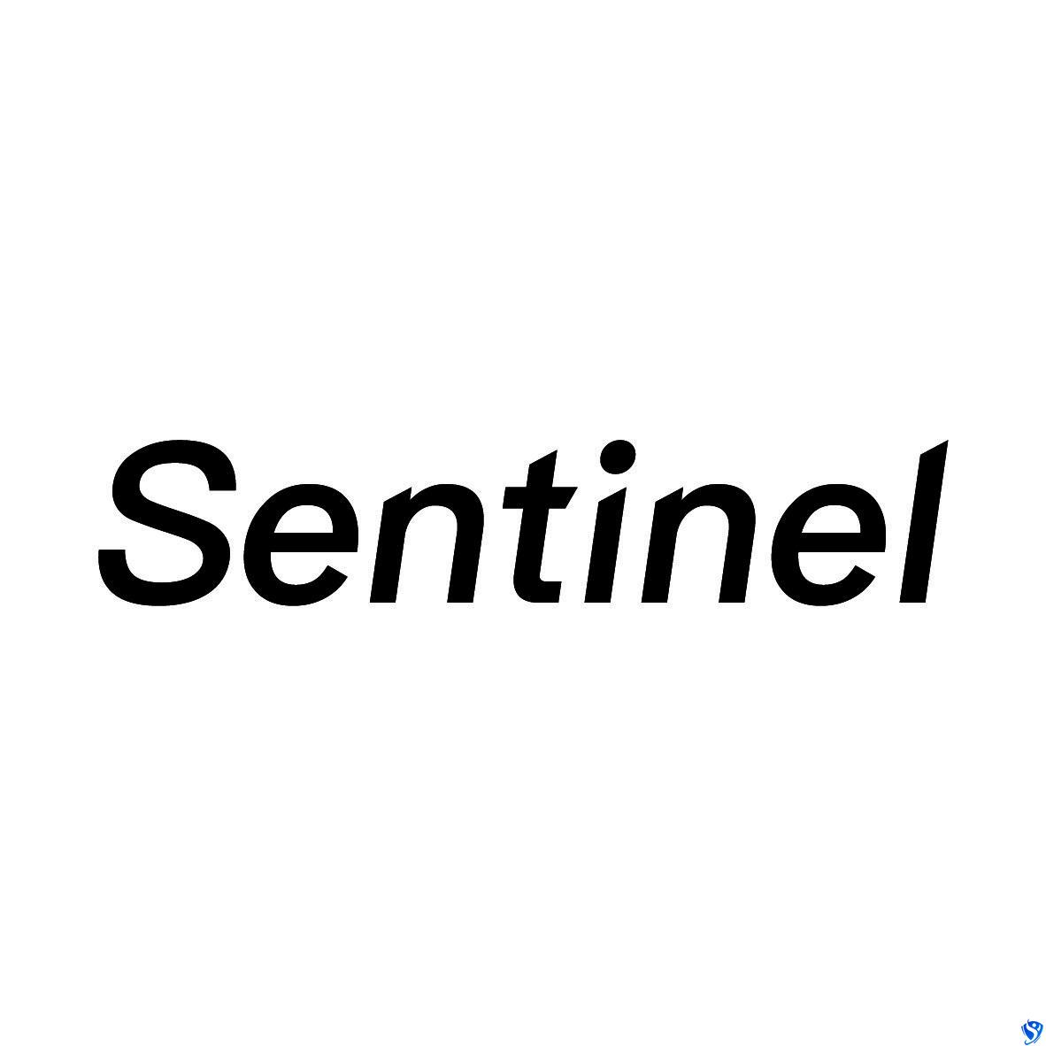 基于 Sentinel 实现历史监控数据回看